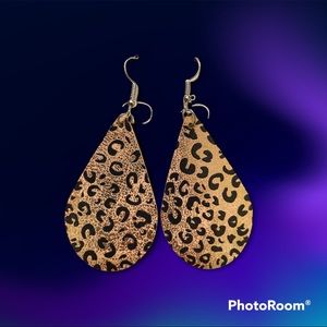 Earrings Brand new Never worn